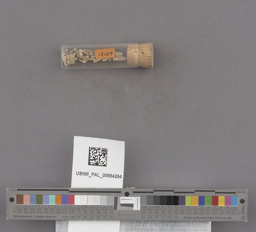 NSF ADBC EPICC TCN