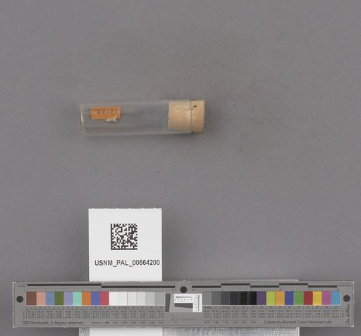 NSF ADBC EPICC TCN