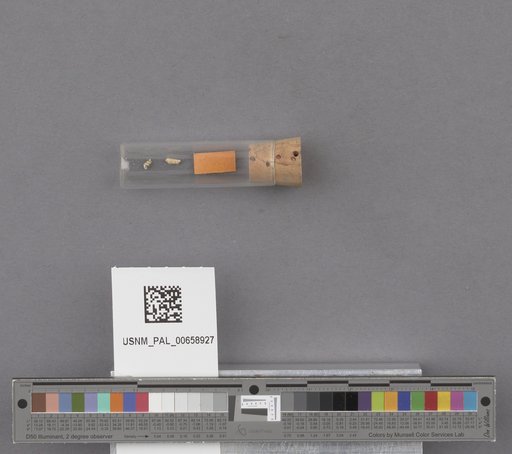 NSF ADBC EPICC TCN