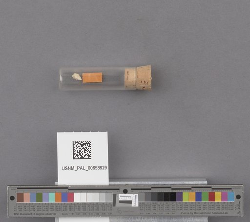 NSF ADBC EPICC TCN