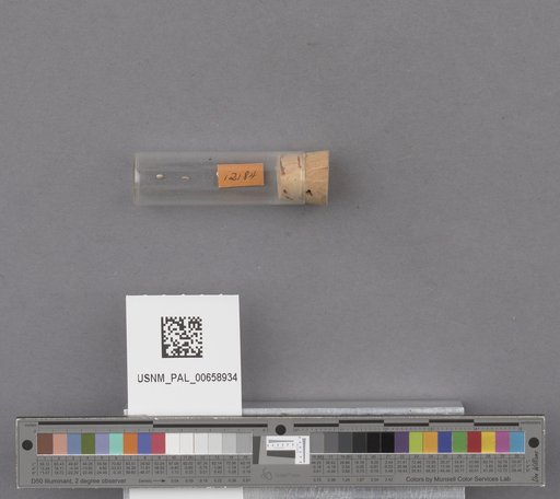 NSF ADBC EPICC TCN