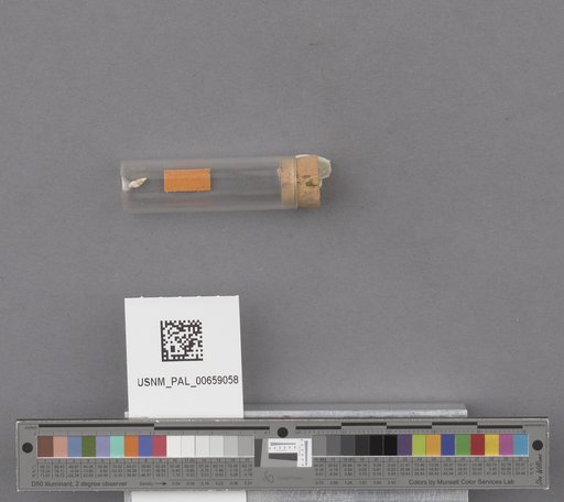 NSF ADBC EPICC TCN
