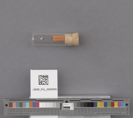 NSF ADBC EPICC TCN
