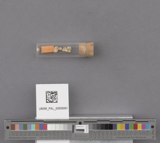 NSF ADBC EPICC TCN