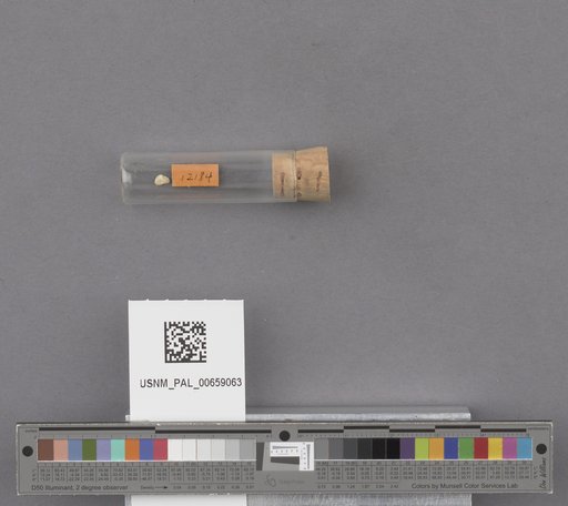 NSF ADBC EPICC TCN