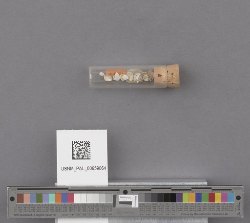 NSF ADBC EPICC TCN