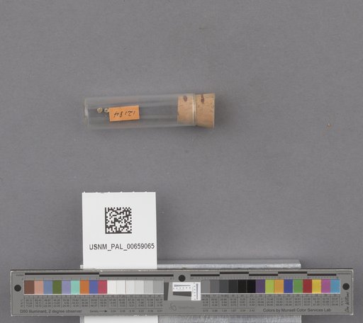 NSF ADBC EPICC TCN