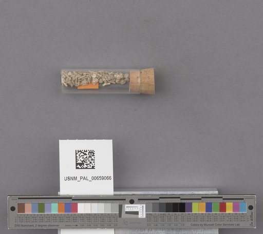 NSF ADBC EPICC TCN