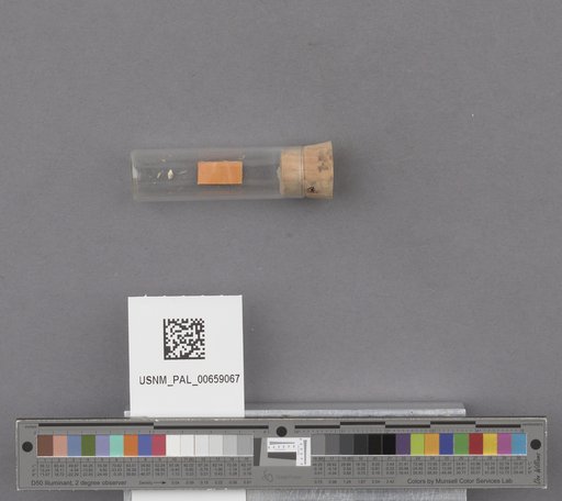 NSF ADBC EPICC TCN