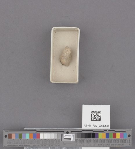 NSF ADBC EPICC TCN