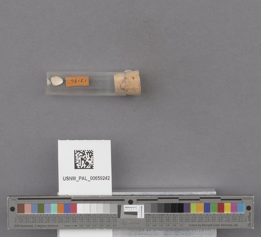 NSF ADBC EPICC TCN