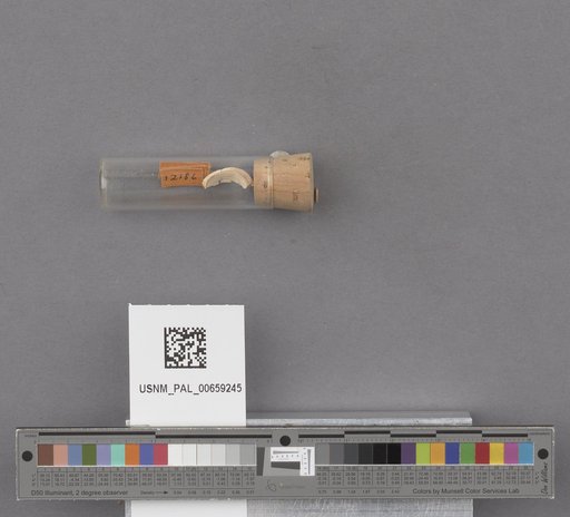 NSF ADBC EPICC TCN