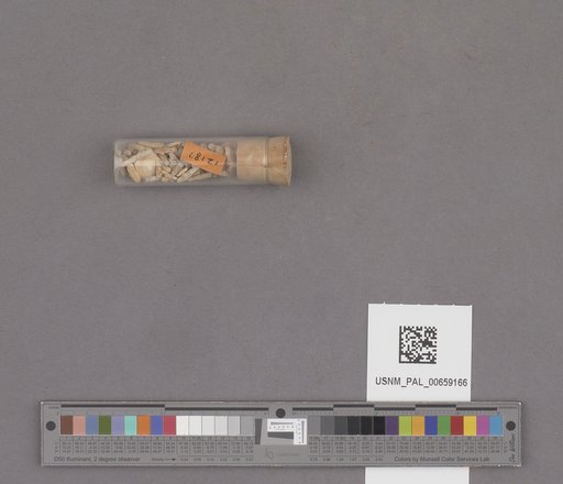NSF ADBC EPICC TCN
