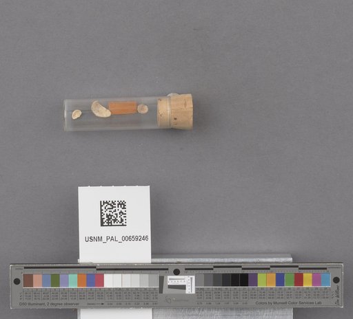 NSF ADBC EPICC TCN