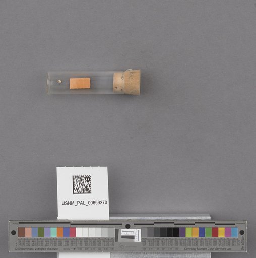 NSF ADBC EPICC TCN