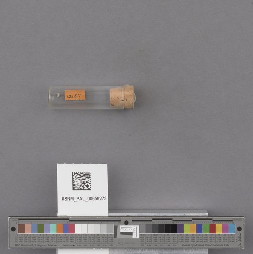 NSF ADBC EPICC TCN