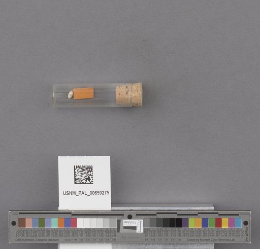 NSF ADBC EPICC TCN
