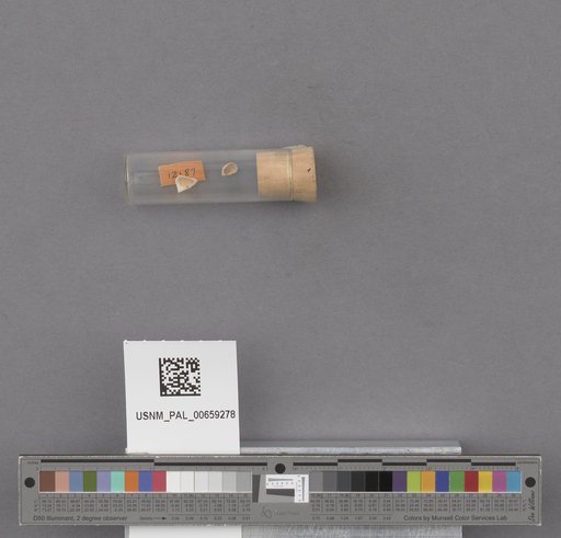 NSF ADBC EPICC TCN
