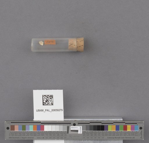 NSF ADBC EPICC TCN