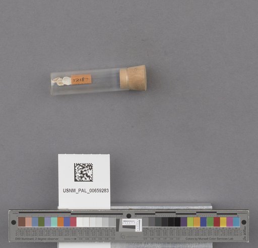 NSF ADBC EPICC TCN