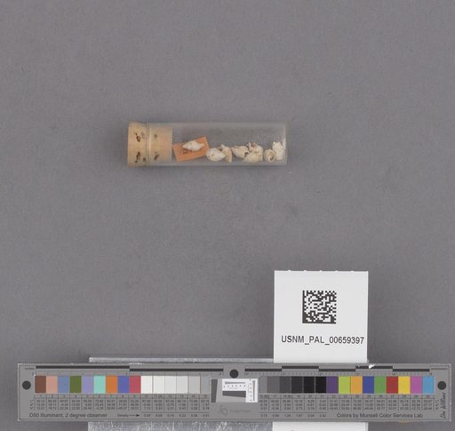 NSF ADBC EPICC TCN