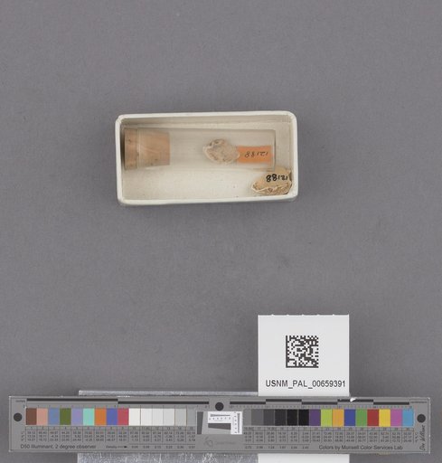 NSF ADBC EPICC TCN