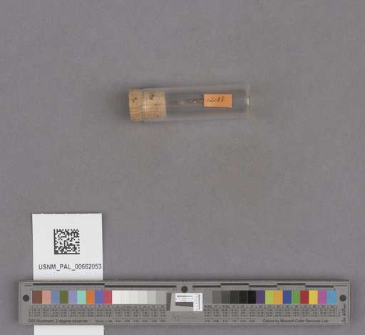 NSF ADBC EPICC TCN