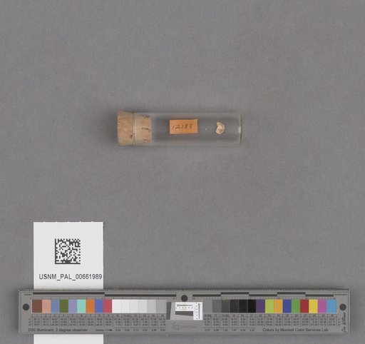 NSF ADBC EPICC TCN