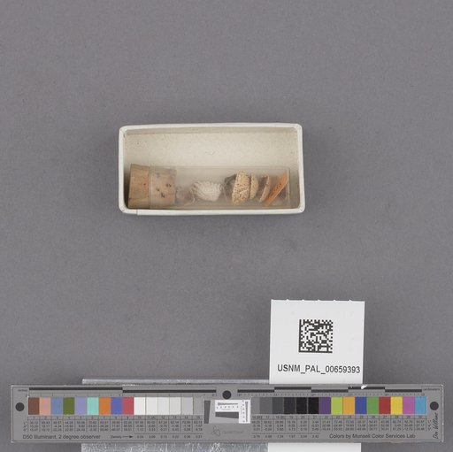 NSF ADBC EPICC TCN