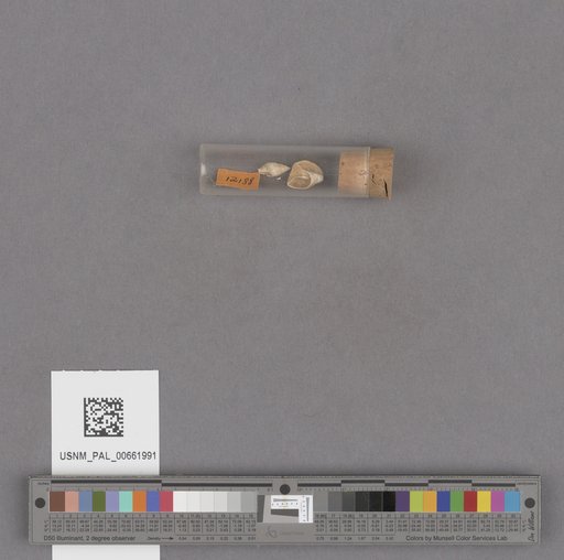 NSF ADBC EPICC TCN