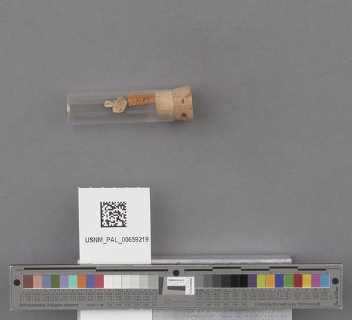 NSF ADBC EPICC TCN