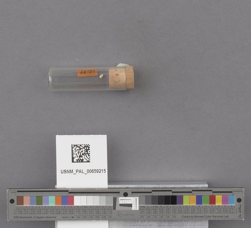 NSF ADBC EPICC TCN