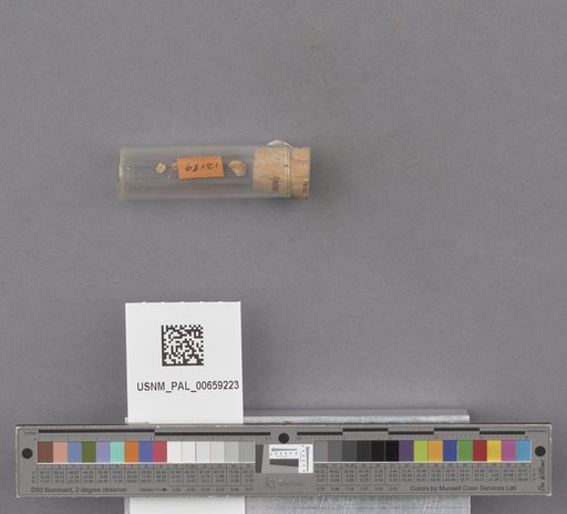 NSF ADBC EPICC TCN