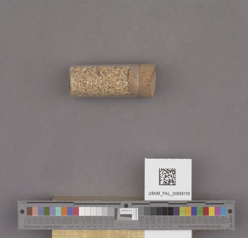 NSF ADBC EPICC TCN