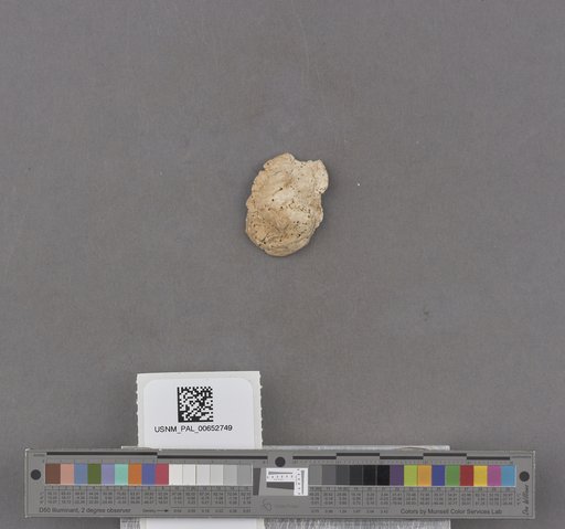 NSF ADBC EPICC TCN