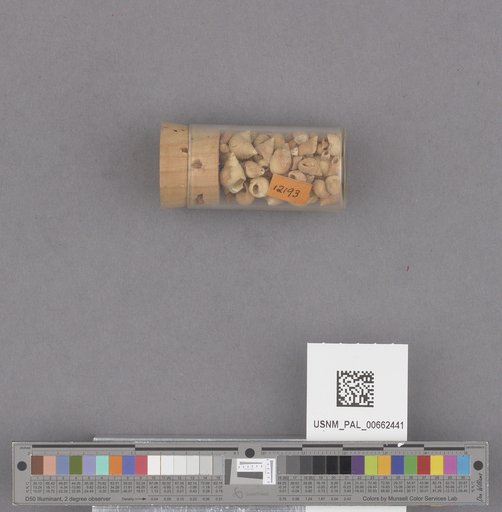 NSF ADBC EPICC TCN