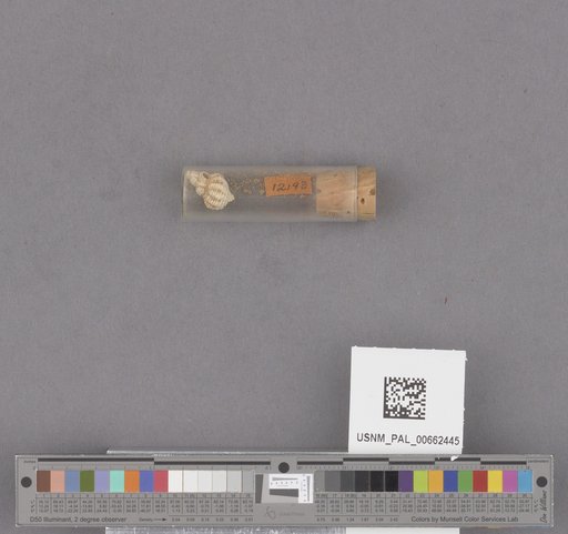 NSF ADBC EPICC TCN