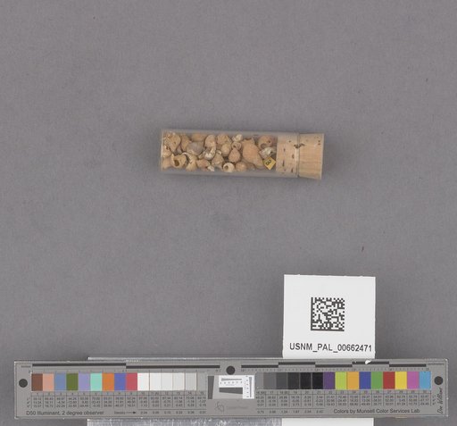 NSF ADBC EPICC TCN