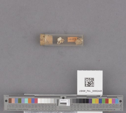 NSF ADBC EPICC TCN