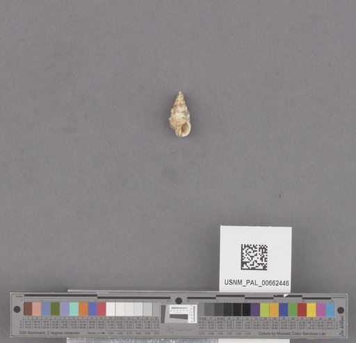 NSF ADBC EPICC TCN