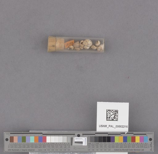 NSF ADBC EPICC TCN