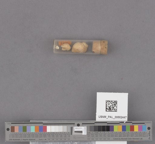 NSF ADBC EPICC TCN