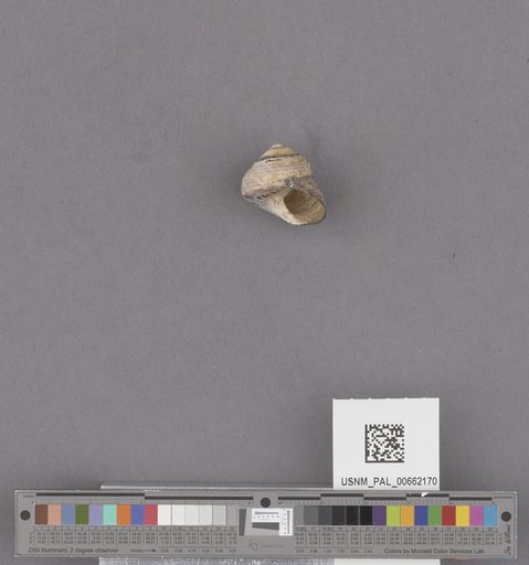 NSF ADBC EPICC TCN