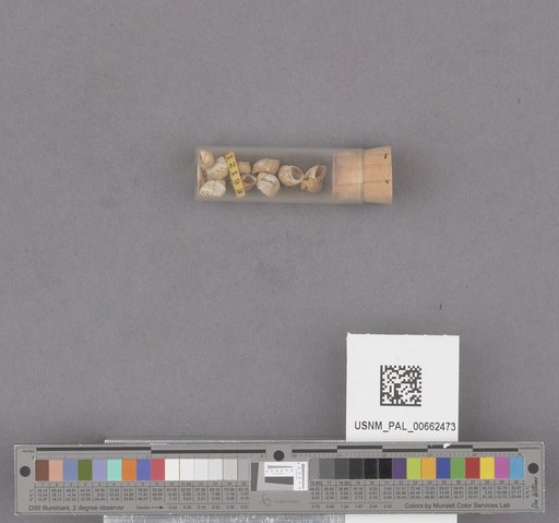 NSF ADBC EPICC TCN