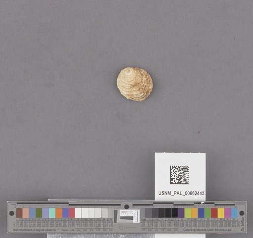 NSF ADBC EPICC TCN