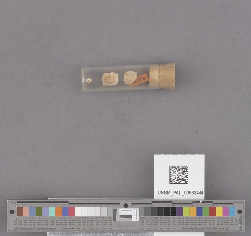 NSF ADBC EPICC TCN