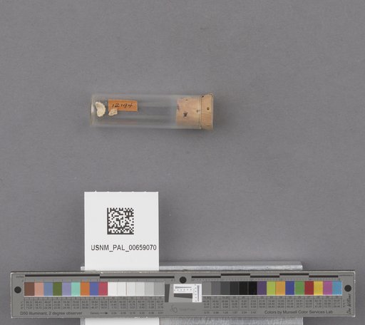 NSF ADBC EPICC TCN
