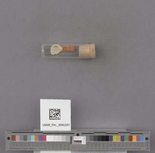 NSF ADBC EPICC TCN