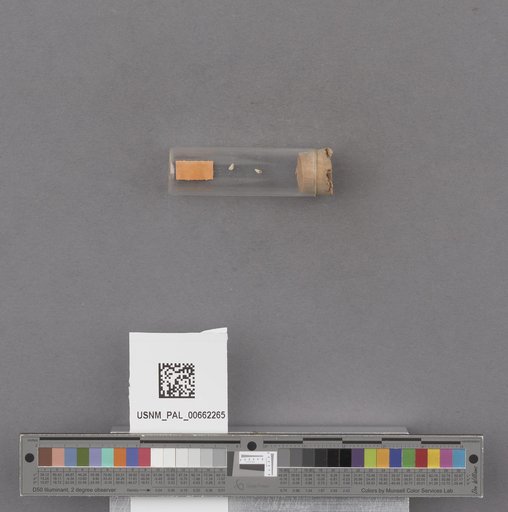 NSF ADBC EPICC TCN