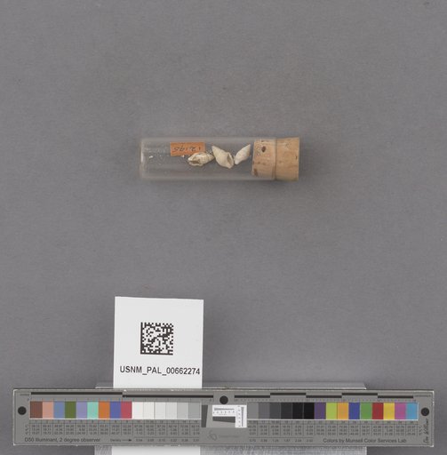 NSF ADBC EPICC TCN